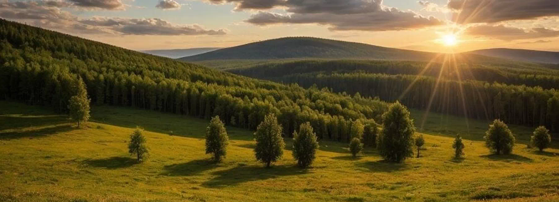 Центр России